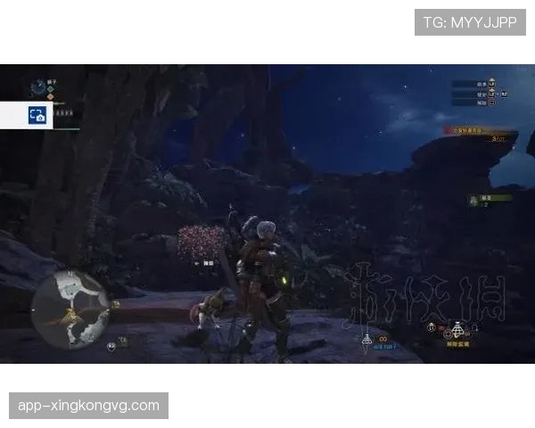 杜埃与亚马尔：同代新星战术角色与数据表现差异解析