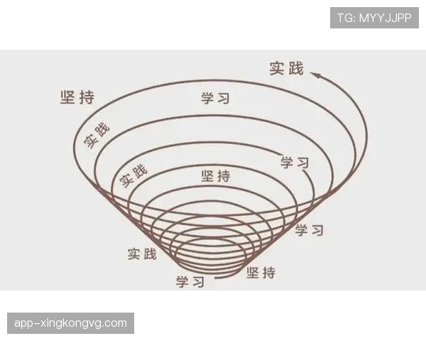 巴尔科拉未来上限的关键维度与成长路径分析